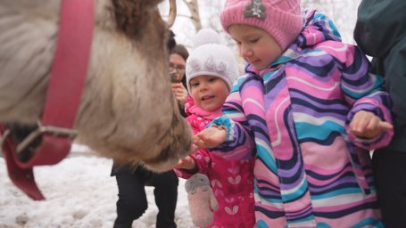Воспитанники Дома ребёнка посетили питомник ездовых собак на Камчатке 6