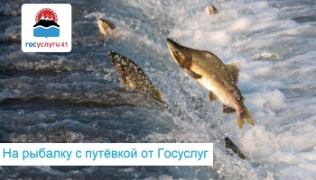 О начале нового сезона любительского рыболовства объявлено в Камчатском крае О начале нового сезона любительского рыболовства объявлено в Камчатском крае