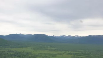 В полтора раза увеличится с мая патрулирование лесов на Камчатке В полтора раза увеличится с мая патрулирование лесов на Камчатке