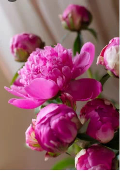 Юбилеи празднуют сегодня шесть районов Камчатского края