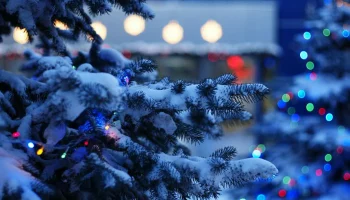 Соблюдать правила безопасности в новогодние праздники призывают жителей Петропавловска-Камчатского