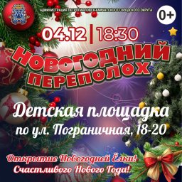 Открытие новогодних ёлок стартует с 1 декабря в Петропавловске-Камчатском 5