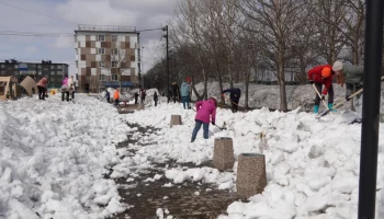 Очередной общегородской субботник стартовал в Петропавловске-Камчатском