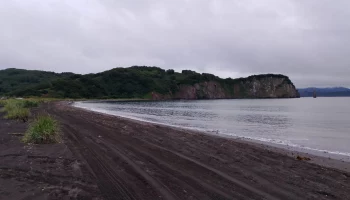 Бухту и побережье Завойко в понедельник закроют для посещений на Камчатке Бухту и побережье Завойко в понедельник закроют для посещений на Камчатке