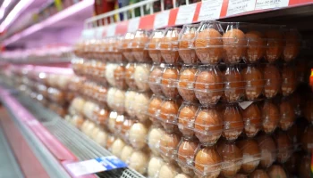 Птицефабрика &laquo;Пионерское&raquo; расширяет сети, где можно приобрести продукцию по социальной карте на Камчатке