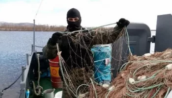 300 часов обязательных работ получил по суду браконьер из Вилючинска на Камчатке