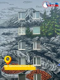 Итоги фестиваля &laquo;Авача стрит-арт&raquo; подвели в Петропавловске-Камчатском 12