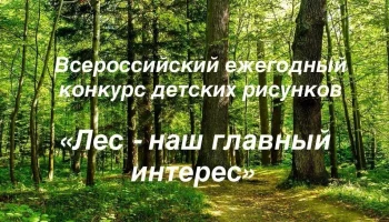 Конкурс детских рисунков «Лес — наш главный интерес» прошел на Камчатке