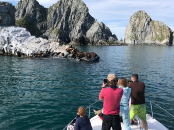 Учёные Кроноцкого заповедника призывают не пугать морских млекопитающих Камчатки 1