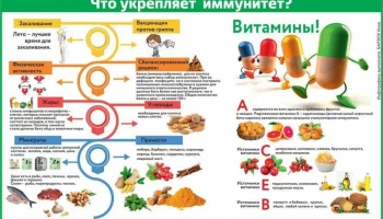 Специалисты дали камчатцам советы по укреплению иммунитета