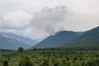 Пять лесных пожаров зарегистрировано на территории Камчатки за прошедшие сутки 3
