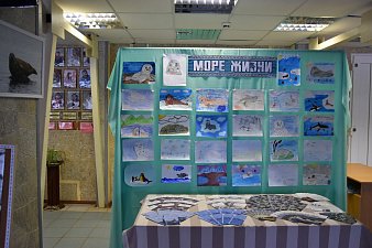 День нерпы отметили в селе Тиличики на севере Камчатки 9