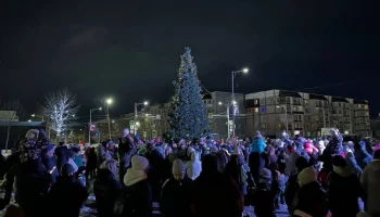 Открытие новогодней елки пройдет сегодня для жителей микрорайона «Северо-Восток» на Камчатке