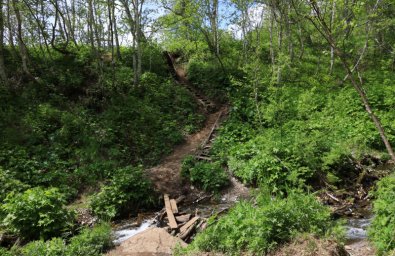 Тропу на туристическом маршруте &laquo;Тайны Голубых озёр&raquo; начнут благоустраивать в мае на Камчатке 0