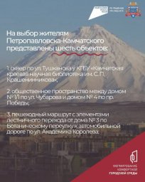 Всероссийское голосование по отбору общественной территории городского округа продолжается в столице Камчатки 1