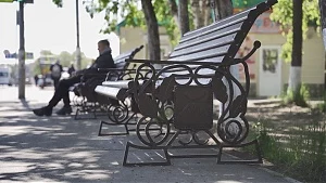 По просьбам жителей Елизова на Камчатке власти установят два десятка новых скамеек  