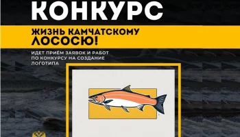 Логотип проекта по сохранению лососей предлагают создать жителям Камчатки