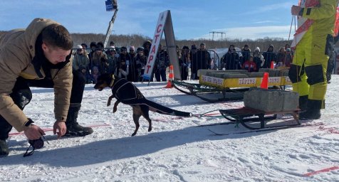Итоги уходящего года продолжает подводить Петропавловск-Камчатский 5