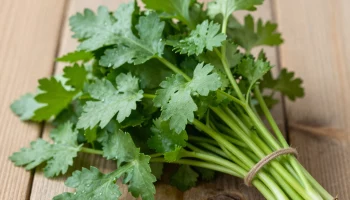 Названы натуральные альтернативы соли для использования в ваших блюдах