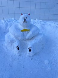 Снежные скульптуры краснокнижных животных украсили дворы на Камчатке 0