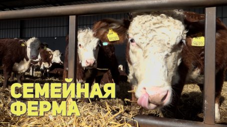 Дополнительный отбор на гранты для семейных ферм стартовал на Камчатке 0