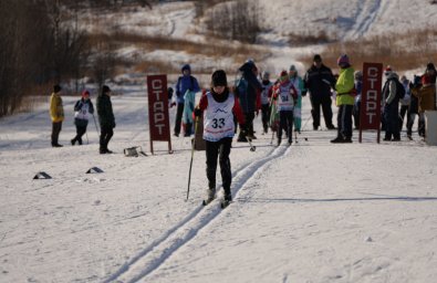 Лыжные гонки и гонки на собачьих упряжках прошли в Елизово на Камчатке 1