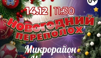 Внесены новые изменения в график открытия новогодних ёлок в Петропавловске-Камчатском Внесены новые изменения в график открытия новогодних ёлок в Петропавловске-Камчатском