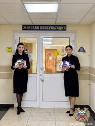 Правилам безопасности ребёнка на дороге обучили будущих и молодых мам в Камчатском крае 1