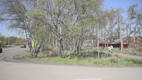 Облик парка на улице Магистральной определяют жители Елизово на Камчатке 1
