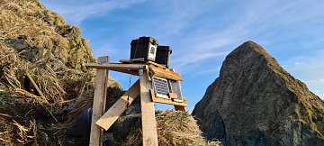 Чувствуют себя комфортно тюлени в Кроноцком заповеднике и Южно-Камчатском заказнике на Камчатке 4