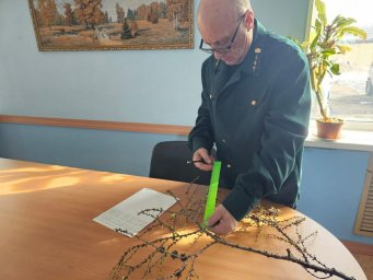 Лесники Атласовского лесничества оценили урожайность семян лиственницы Курильской на Камчатке 0