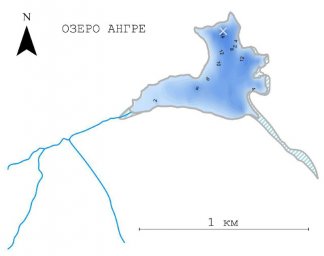Самая простая и наглядная эволюционная модель в мире сработала в озере Ангре на Камчатке 2