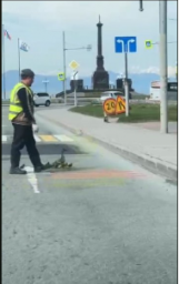 Медведь замечен на сопке в районе улицы Пограничной в Петропавловске-Камчатском 0