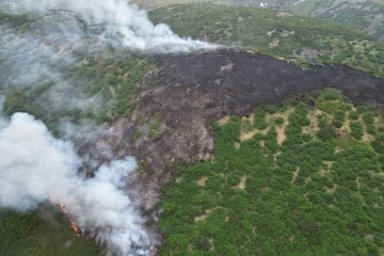 Пять лесных пожаров зарегистрировано на территории Камчатки за прошедшие сутки 0
