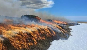 Два природных пожара ликвидировали в Усть-Большерецком округе на Камчатке