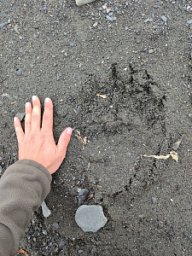 Кроноцкий заповедник рассказал историю сотрудников, чья жизнь посвящена охране дикой природы Камчатки 2