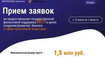 Субсидии для бизнеса в сфере креативных индустрий предоставляет Камчатка