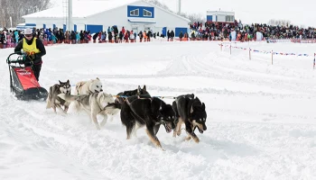Гонка &laquo;Берингия. Авача &ndash; 2026&raquo; пройдет с 8 по 14 февраля на Камчатке