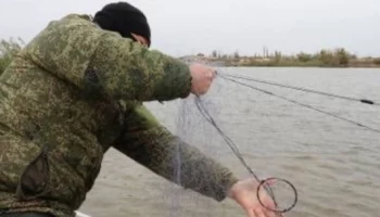 Безработного браконьера с крупным уловом задержали на Камчатке