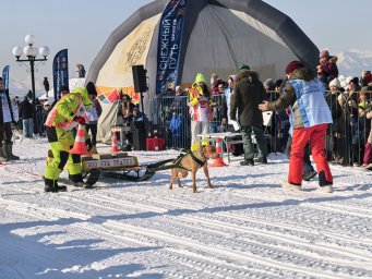 День защитника Отечества и городской фестиваль зимних видов спорта прошли в Петропавловске-Камчатском 3