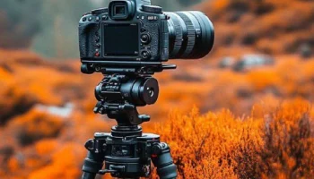 Во Всероссийском конкурсе видеоработ о путешествиях по Дальнему Востоку и Арктике могут поучаствовать жители Камчатки