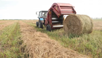 Продолжаются работы по заготовке кормов в Елизовском районе на Камчатке Продолжаются работы по заготовке кормов в Елизовском районе на Камчатке