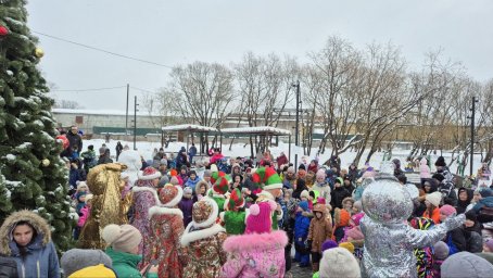 Сезон новогодних елок стартовал в краевой столице на Камчатке 4