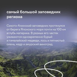 К участию в олимпиаде «Ближе к Дальнему» приглашают школьников Камчатки 3