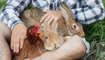 Вакцинация для работников сельского хозяйства и смежных профессий: как защитить себя от опасных инфекций