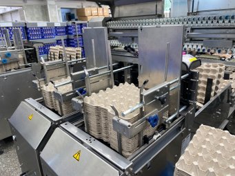 Птицефабрика «Пионерское» наращивает производственные мощности на Камчатке 11