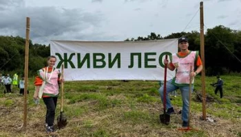 Практическая плоскость: в рамках международного экофорума на Камчатке высадили деревья Практическая плоскость: в рамках международного экофорума на Камчатке высадили деревья