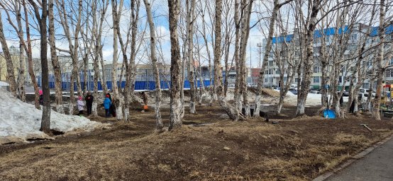 Активно поддержали субботники жители Петропавловска-Камчатского 7