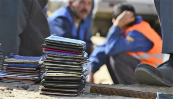 За пособничество нелегальной миграции осуждена жительница Петропавловска-Камчатского