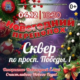 Открытие новогодних ёлок стартует с 1 декабря в Петропавловске-Камчатском 4